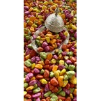 Bi Çitle Karışık Aro...